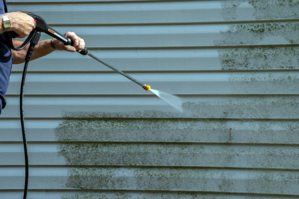 Best Roof Power Washing Services  in Floral Park, NY