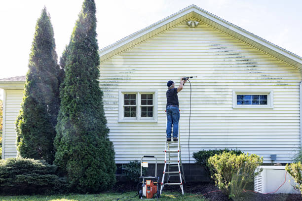 Best Deck Pressure Washing  in Floral Park, NY