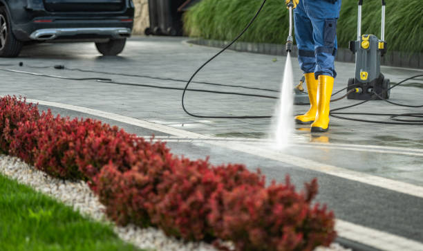 Best Exterior Home Cleaning  in Floral Park, NY